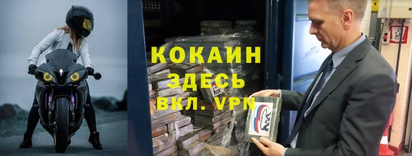 гашик Алексин