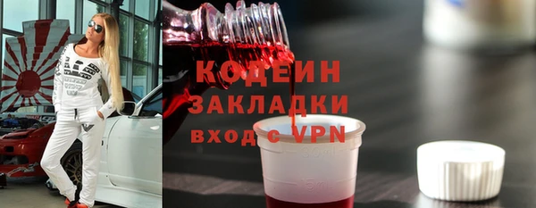 прущие грибы Алзамай