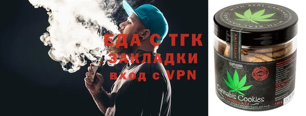 гашик Алексин