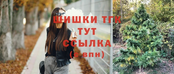 прущие грибы Алзамай