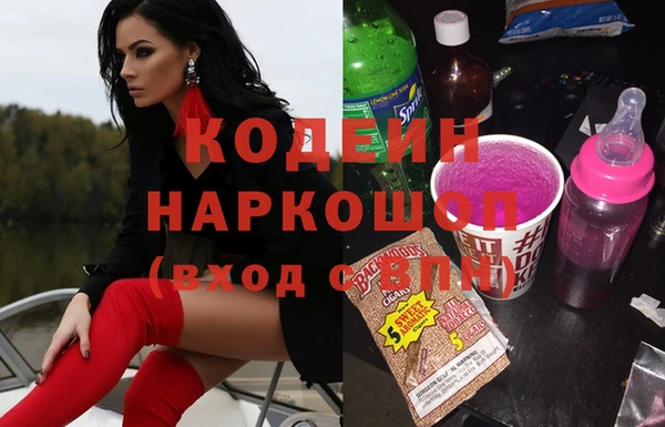 прущие грибы Алзамай