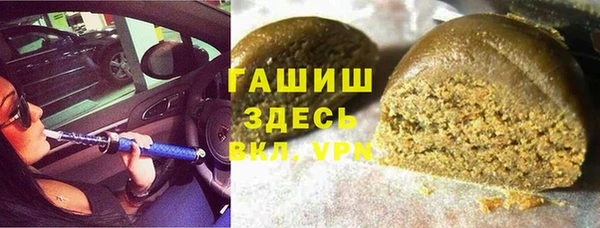 прущие грибы Алзамай