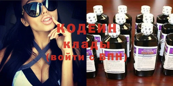 гашик Алексин