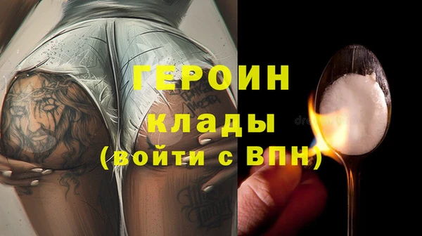 гашик Алексин