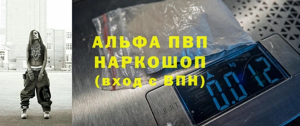 прущие грибы Алзамай