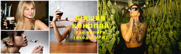 гашик Алексин
