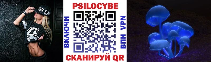 Галлюциногенные грибы Psilocybine cubensis Лахденпохья